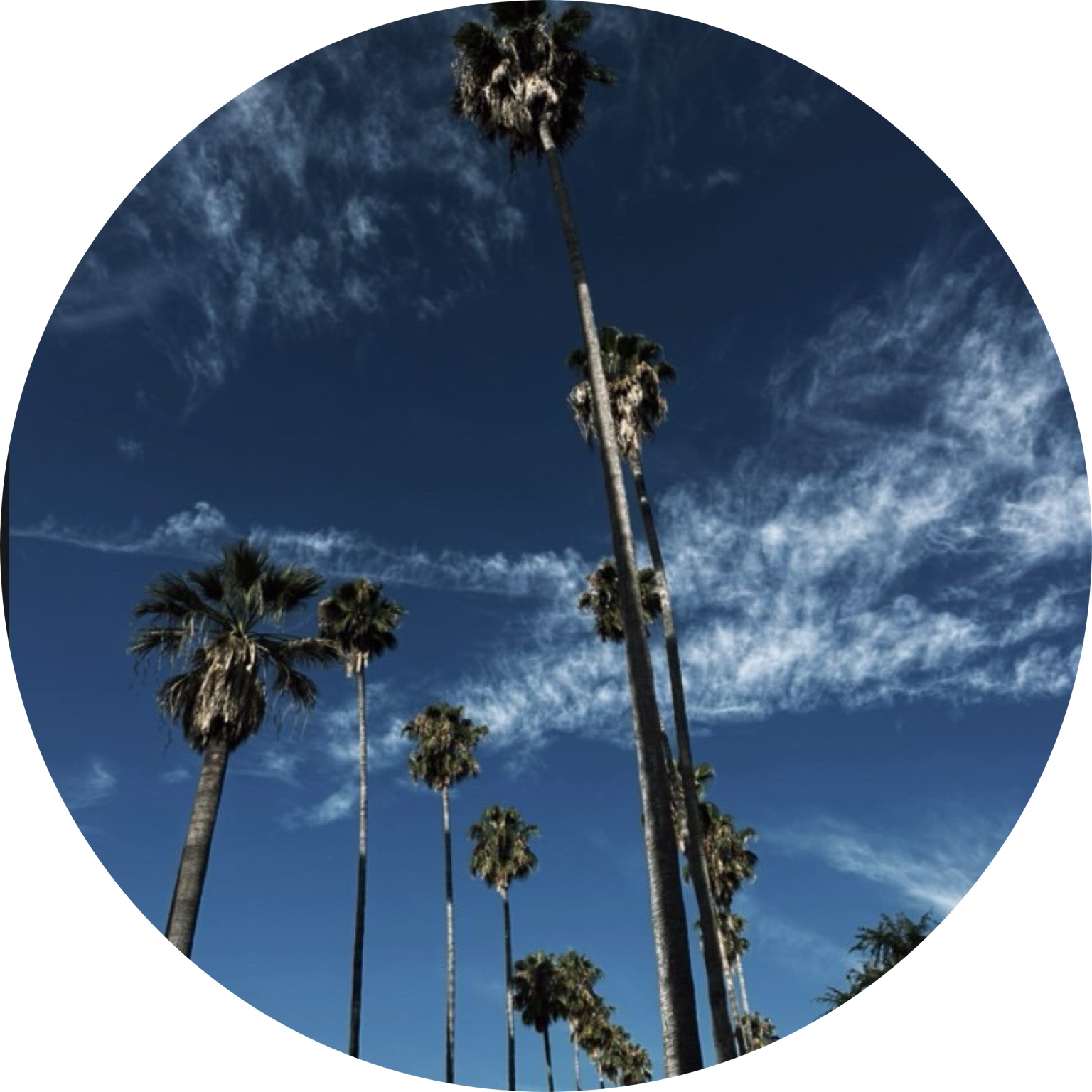 holistic.ish.mandini on LTK