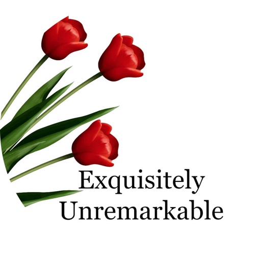 exquisitelyunremarkable on LTK