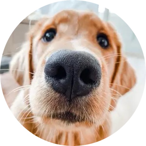 GamjaChipMama on LTK