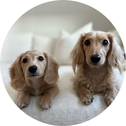 wilbur_minidox on LTK