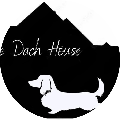 TheDachHouse on LTK