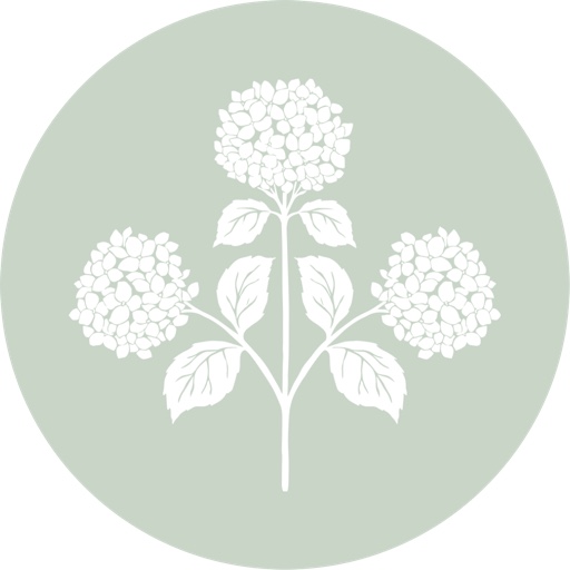 ShoppedByAshley on LTK