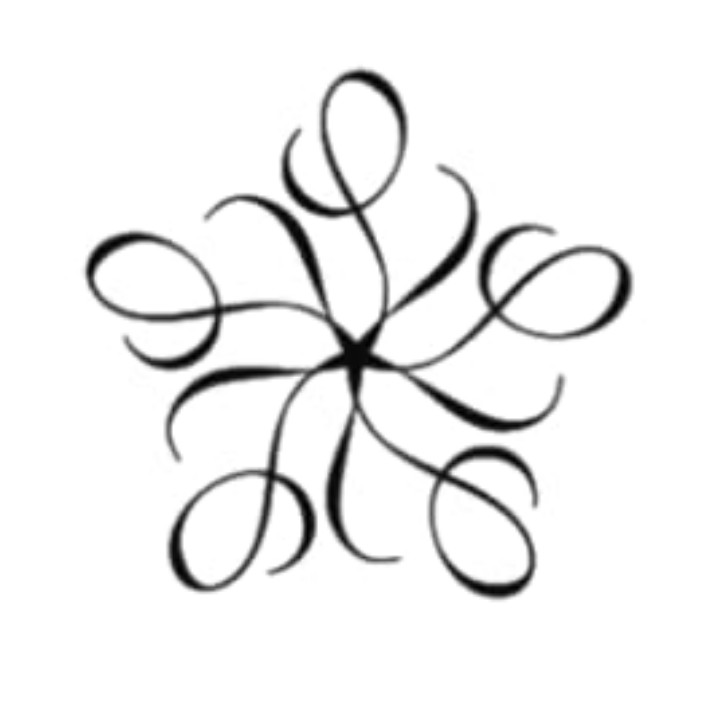 lulugotthelook on LTK