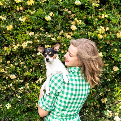 stacieflinner on LTK