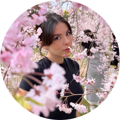 allukasakura on LTK
