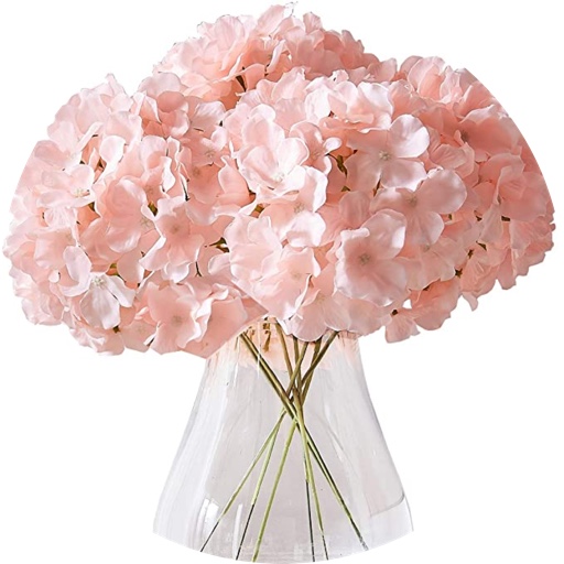 blushandblossoms on LTK