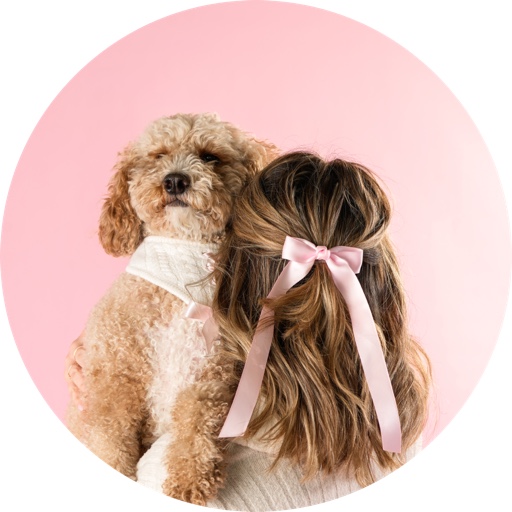 maizeytheminipoodle on LTK