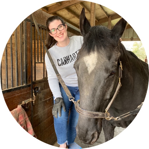 laughlovelangella on LTK