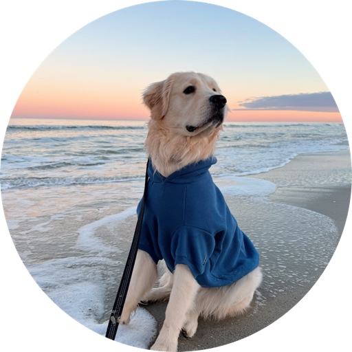 vaderrthegolden on LTK