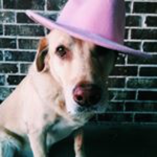 courtingstyle on LTK