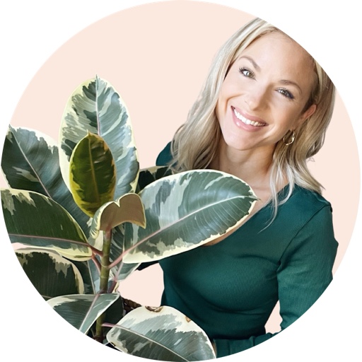 FancyPlantsClub on LTK