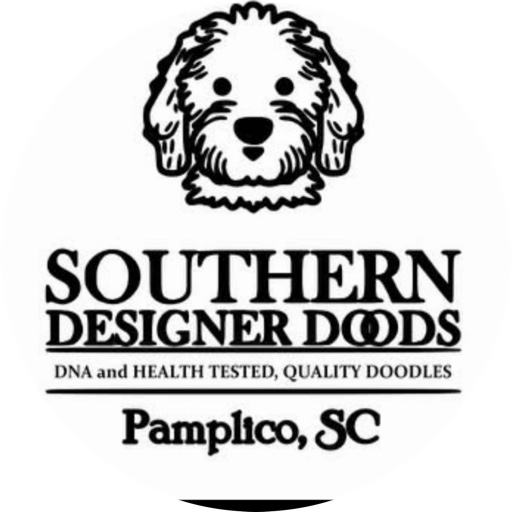 SouthernDesignerDoods on LTK