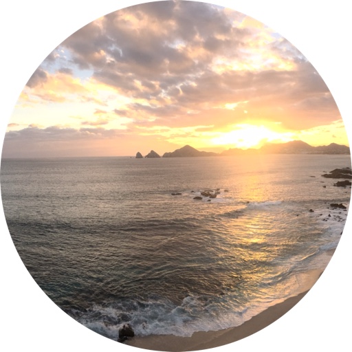 Triedandloved on LTK