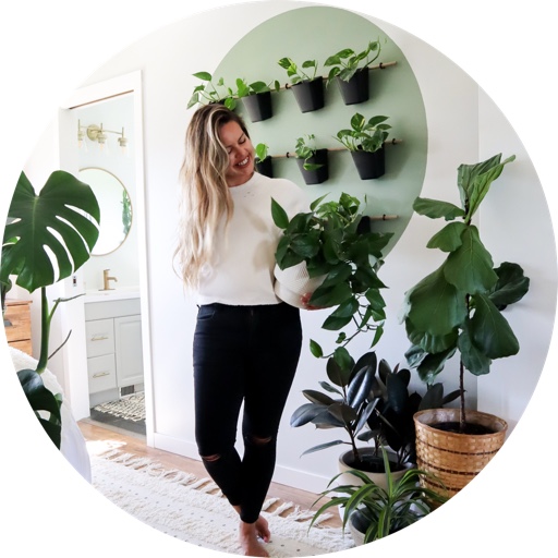 ourbarnesyard on LTK