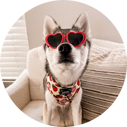 stormythekleekai on LTK