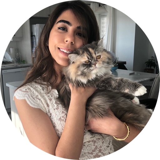 blushthishome on LTK