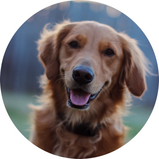 thegoldwinston on LTK