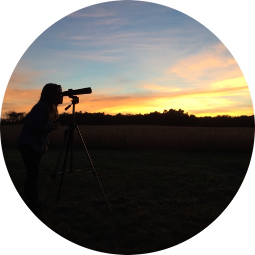 lifeonsilverlane on LTK