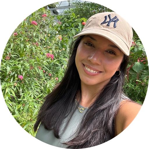 Dianasguay on LTK