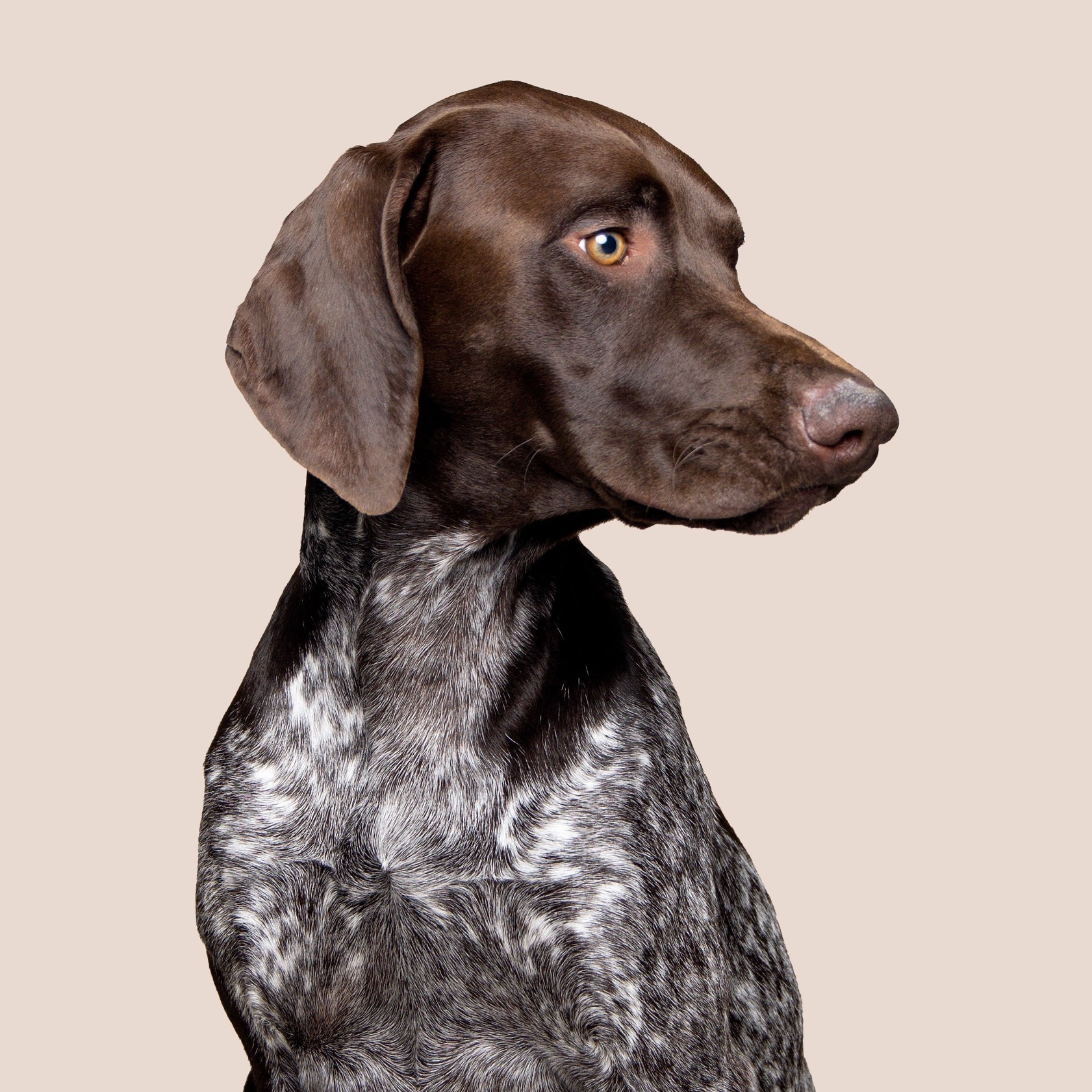 The_Real_Rusty on LTK