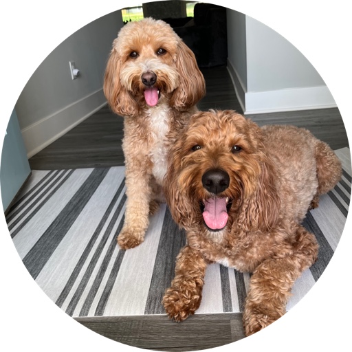 Tupac_and_Biggie_Doods on LTK