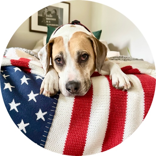 theloonsnestwithmillie on LTK