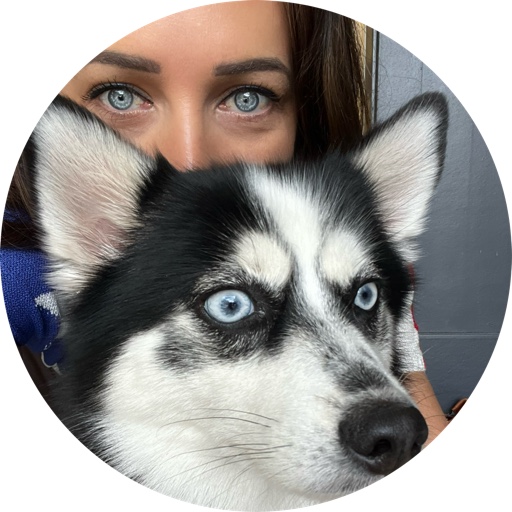 Chickenboxfox on LTK