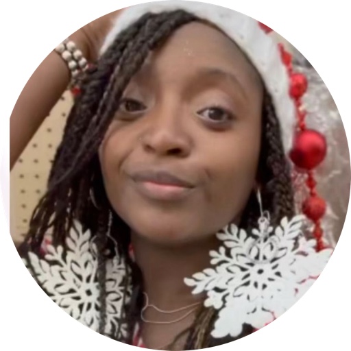 ChristmasLuxe on LTK