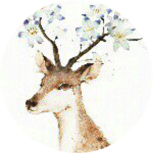 DeerPearlFlowers on LTK