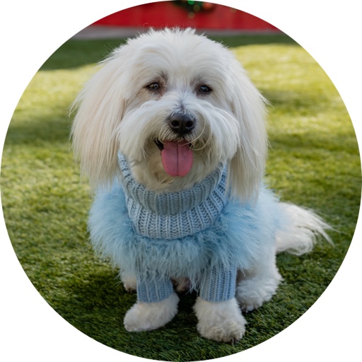 Edi_and_Fluffy on LTK