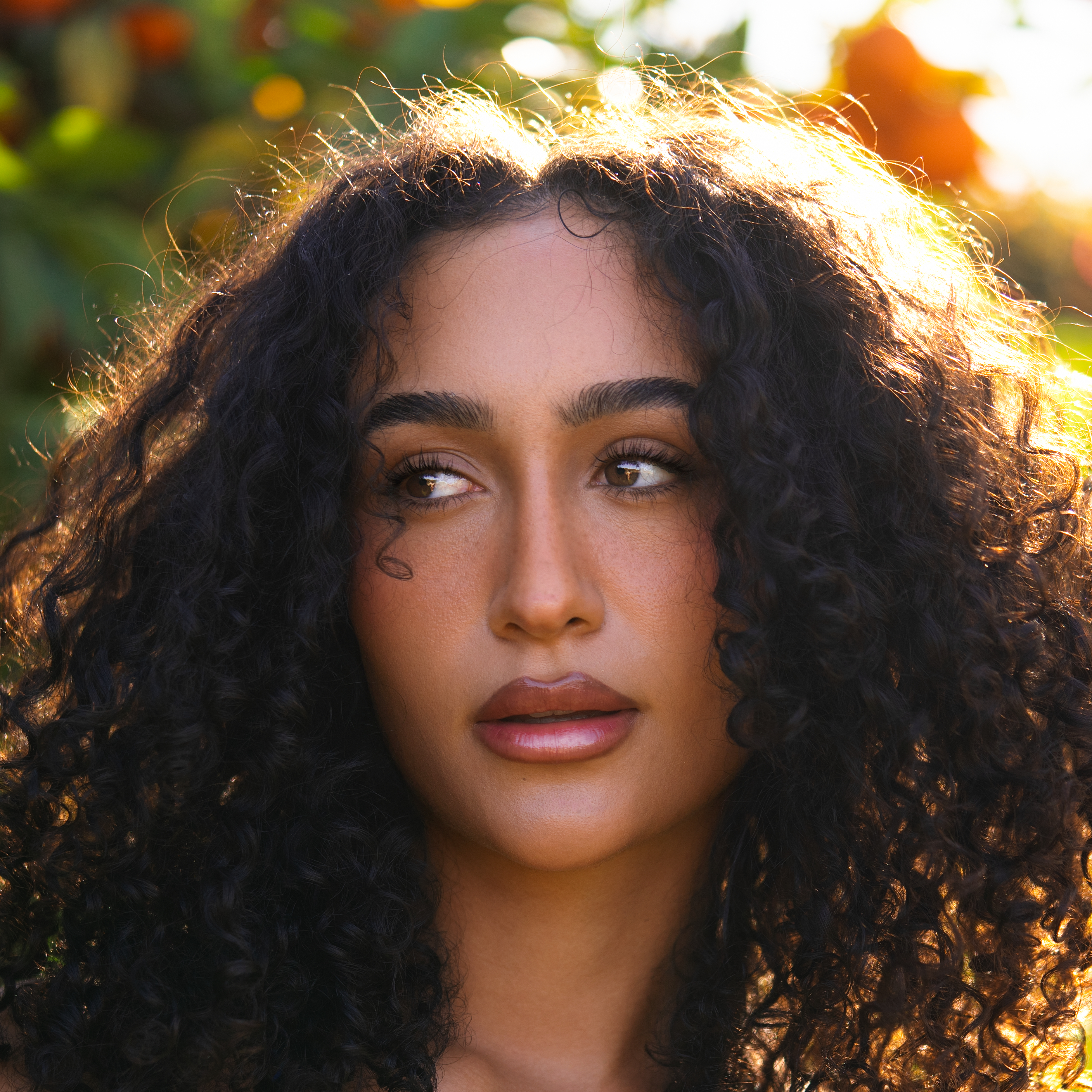 Kolbisamanthaa on LTK