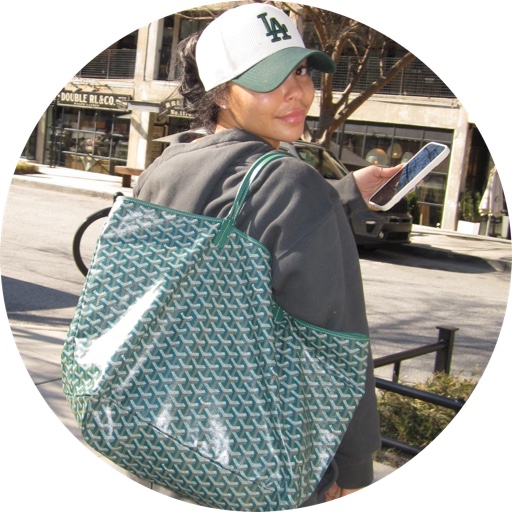 Iambrianicole on LTK