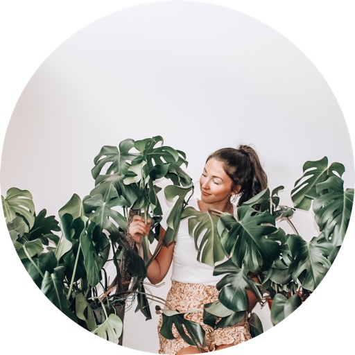 Thebrickhousejungle on LTK