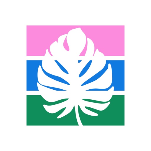 TheStripedPalm on LTK