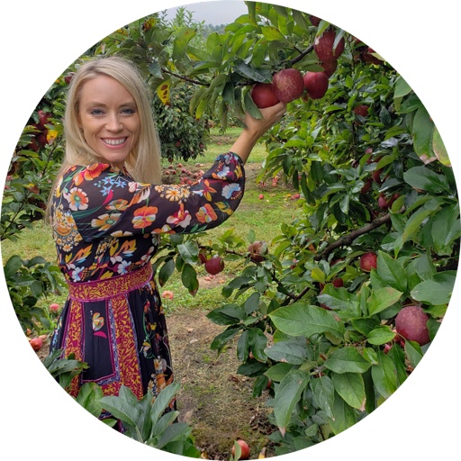 MyModernTudor on LTK