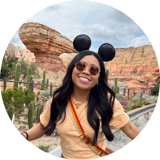 Disneylandfoodforever on LTK