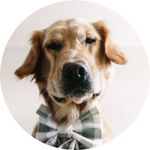 Golden_gal_Sage on LTK