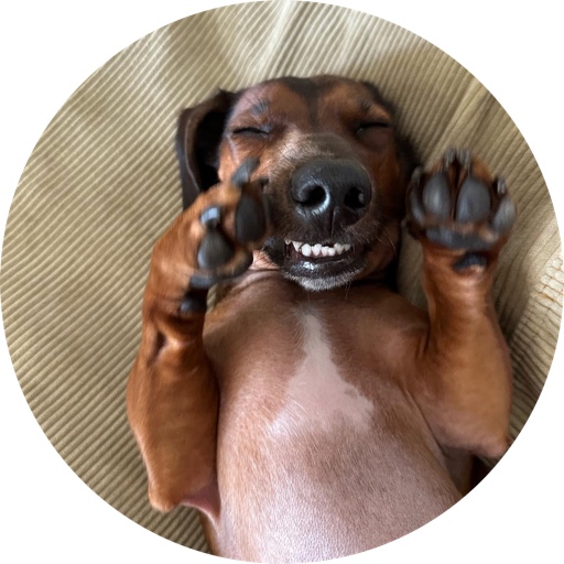 Sprinkles_the_Weenie on LTK