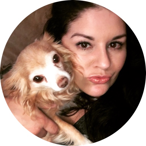 PawfectDogLife on LTK