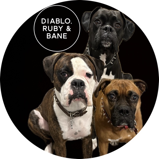 Diablo_Ruby_Bane on LTK