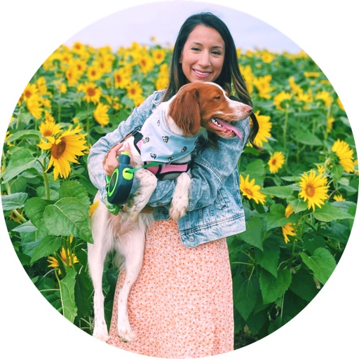 Minnie_the_brittany on LTK