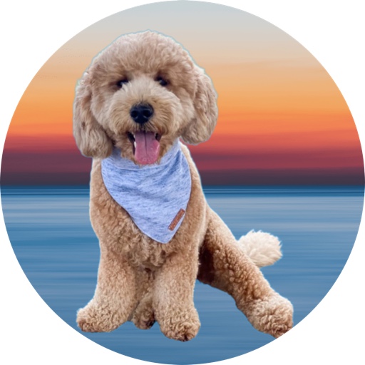 Maverick_Glenn on LTK