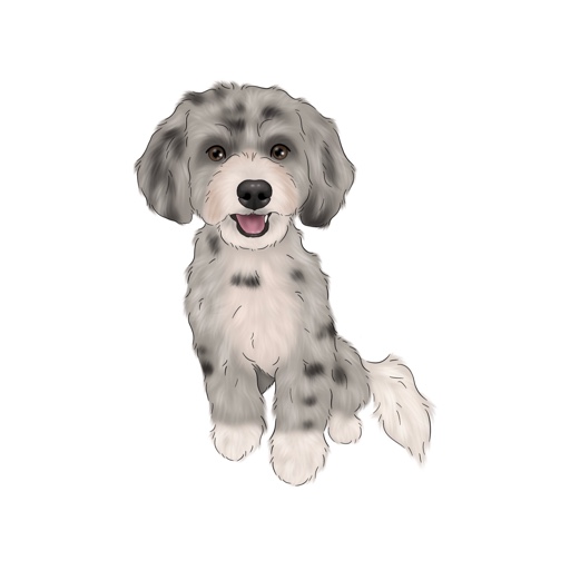 shayleethepup on LTK