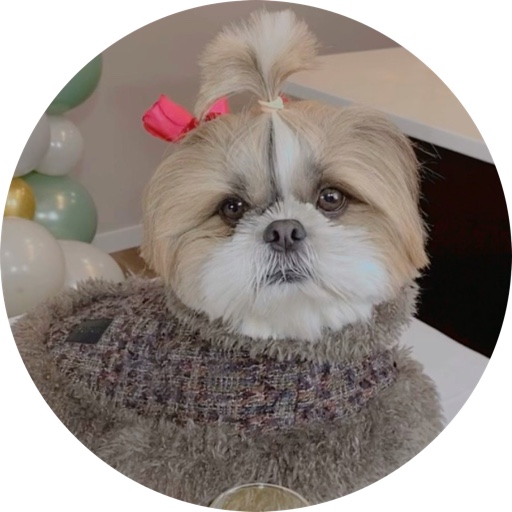 Murphy_and_Mamma on LTK