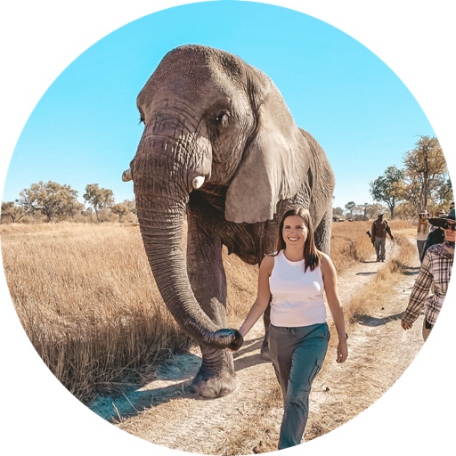 thetravelingmoore on LTK