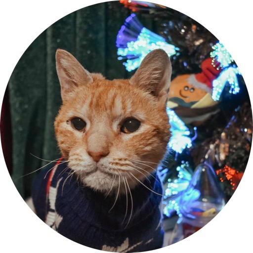 CatCalledOtto on LTK