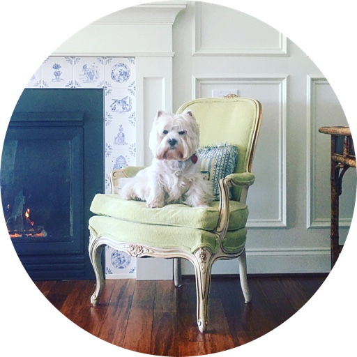 houseandgardendog on LTK