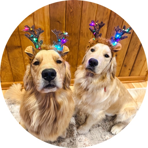 Calvinandcomet on LTK