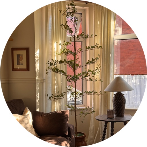 Inspiring_on_the_inside on LTK