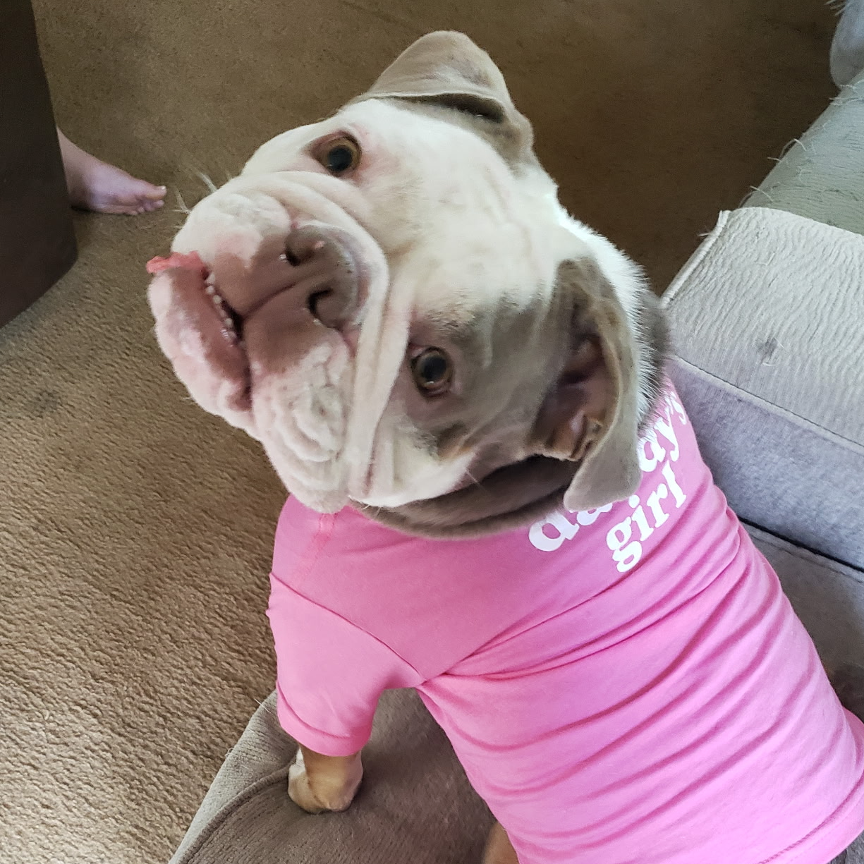 DressingwithMabel on LTK